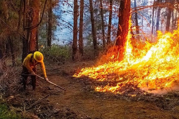 Senapred Declara Alerta Roja Para La Comuna De Teno Por Incendio