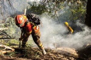 Autoridades entregan balance de incendios forestales en la región del Maule