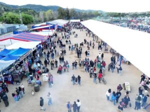 Talca celebra las Fiestas Patrias con masiva Fiesta de la Chilenidad gratuita en el Parque Río Claro